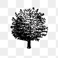 Apple tree clipart png, black ink drawing, digitally enhanced from our own original copy of The Open Door to Independence (1915) by Thomas E. Hill.