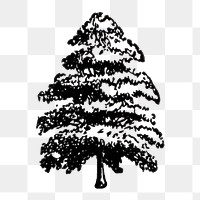 Oak tree clipart png, black ink drawing, digitally enhanced from our own original copy of The Open Door to Independence (1915) by Thomas E. Hill.