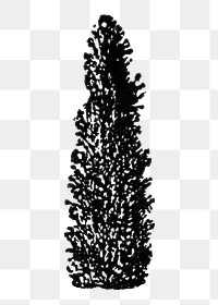 Tree png sticker, hand drawn design element, digitally enhanced from our own original copy of The Open Door to Independence (1915) by Thomas E. Hill.