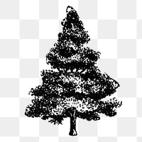 Tree png sticker, hand drawn design element, digitally enhanced from our own original copy of The Open Door to Independence (1915) by Thomas E. Hill.