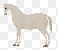 Vintage png Asian horse illustration, featuring public domain artworks