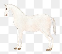 Vintage png white Asian horse illustration, featuring public domain artworks