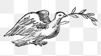 Vintage png black and white dove with olive branch, featuring public domain artworks