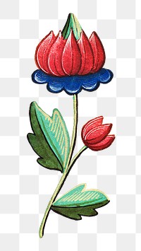 Vintage png red flower illustration, featuring public domain artworks