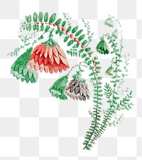Vintage embroidery flower png, featuring public domain artworks