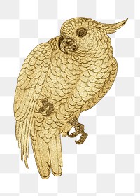 Gold parrot vintage illustration 