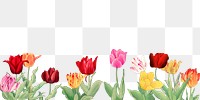 Tulip flower png border, transparent background