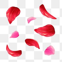 Flower petals png sticker, Japanese ukiyo e art, transparent background