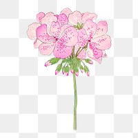 Png pink geranium flower sticker, vintage Japanese art on transparent background