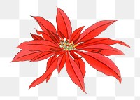 Png vintage poinsettia flower sticker, Japanese floral art, transparent background