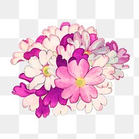 Png pink primrose flower sticker, Japanese ukiyo e art, transparent background