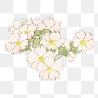 Png primrose flower sticker, Japanese ukiyo e art, transparent background
