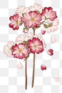 Primrose flower png sticker, Japanese ukiyo e art, transparent background