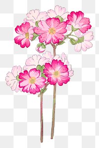 Primrose flower png sticker, Japanese ukiyo e art, transparent background