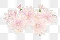 Cineraria flower png sticker, vintage Japanese ukiyo e art, transparent background