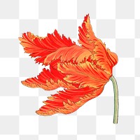 Parrot tulip png sticker, Japanese ukiyo e art, transparent background