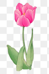 Png pink tulip sticker, vintage Japanese art, transparent background