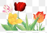 Png tulip sticker, vintage Japanese art, transparent background