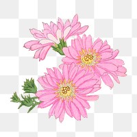 Cineraria flower png sticker, Japanese ukiyo e art, transparent background