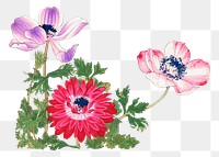 Poppy png sticker, Japanese ukiyo e art, transparent background