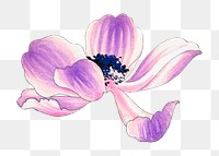 Poppy png sticker, Japanese ukiyo e art, transparent background