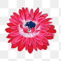 Poppy png sticker, Japanese ukiyo e art, transparent background