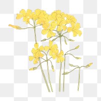 Png wood sorrel flower sticker, Japanese ukiyo e art, transparent background