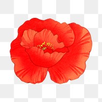 Poppy flower png sticker, Japanese ukiyo e art, transparent background