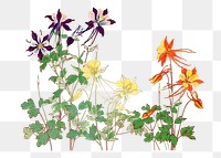 Png aquilegia flower sticker, Japanese ukiyo e art, transparent background