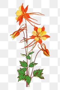 Columbine flower png sticker, Japanese ukiyo e art, transparent background