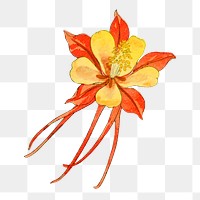 Columbine flower png sticker, Japanese ukiyo e art, transparent background