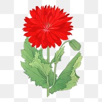 Poppy flower png sticker, Japanese ukiyo e art, transparent background