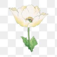 Poppy flower png sticker, Japanese ukiyo e art, transparent background