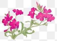 Rose campion png sticker, Japanese ukiyo e art, transparent background