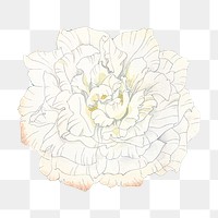 White rose png sticker, Japanese ukiyo e art, transparent background