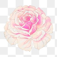 Rose png sticker, Japanese ukiyo e art, transparent background