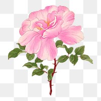 Rose png sticker, Japanese ukiyo e art, transparent background