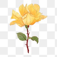 Yellow rose png sticker, vintage Japanese art, transparent background