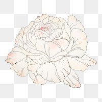 White rose png sticker, vintage Japanese art, transparent background