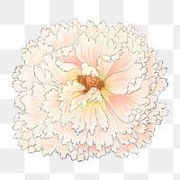 Hollyhock flower png sticker, Japanese ukiyo e art, transparent background