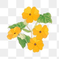 Thunbergia png sticker, Japanese ukiyo e art, transparent background