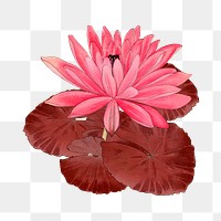 Lotus sticker png, Japanese ukiyo e art, transparent background