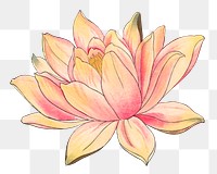 Lotus sticker png, Japanese ukiyo e art, transparent background
