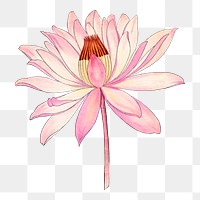 Lotus sticker png, Japanese ukiyo e art, transparent background