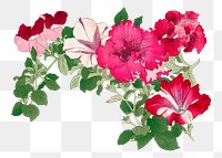 Mallow flower png sticker, vintage Japanese art, transparent background