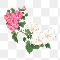 Mallow flower png sticker, vintage Japanese art, transparent background