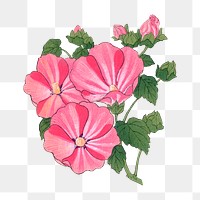 Png pink mallow flower sticker, vintage Japanese art, transparent background