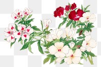 Godetia flower png sticker, Japanese ukiyo e art, transparent background