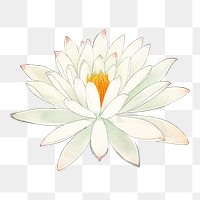 White lotus png sticker, Japanese ukiyo e art, transparent background