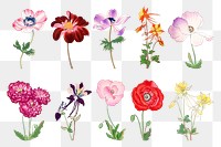 Vintage flower png sticker, floral ukiyo-e woodblock art, transparent background set